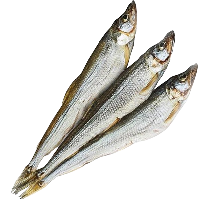 Корюшка вяленая - фото 25773