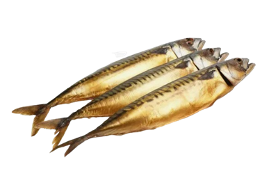 Сардина х/к - фото 28484