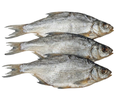 Лещ вяленый - фото 32757