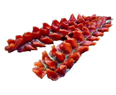 Форель юкола вяленая - фото 32945