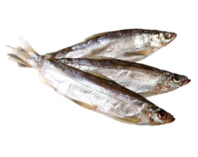 Ряпушка вяленая /Россия/ - фото 32947