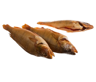 Окунь х/к - фото 33066