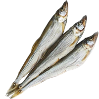 Корюшка вяленая