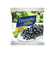 Смородина черная Планета Лета 300 гр