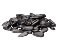 Семечки ИЗНАВР порция