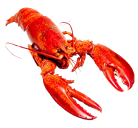 Раки (крупные) кг