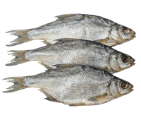 Лещ вяленый