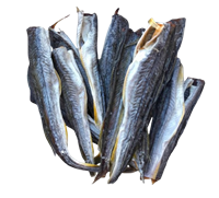 Навага вяленая без головы, без хребта