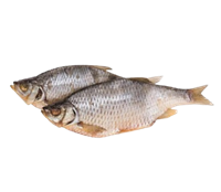 Красноперка вяленая /Россия/