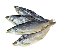 Пелядь вяленая /Россия/