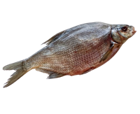 Лещ Азовский вяленый