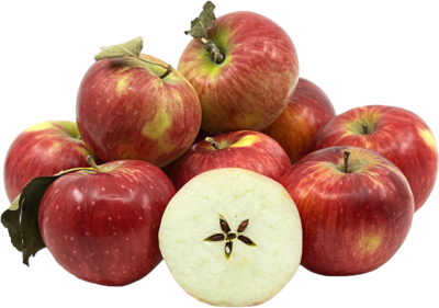 Яблоки Апорт /1837/ - фото 14133