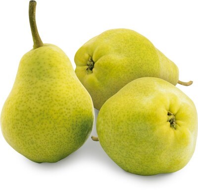 Груша Пакхам - фото 19791