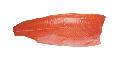 Форель филе соленое - фото 30758