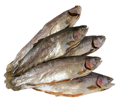 Форель Радужная вяленая - фото 33053