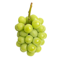 Виноград Зеленый Мускат 