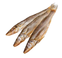 Судак вяленый