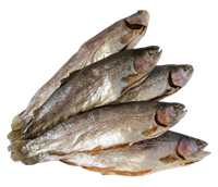 Форель Радужная вяленая