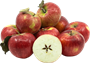 Яблоки Апорт /1837/ - фото 14133