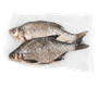 Лещ очищенный Рыбный мир С/М кг - фото 35236