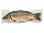 Сазан очищенный Рыбный мир С/М кг - фото 35237